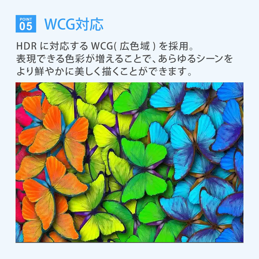 WCG対応